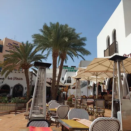 Private Sunny Terrace - Secure Bike Or Board Lockup 公寓